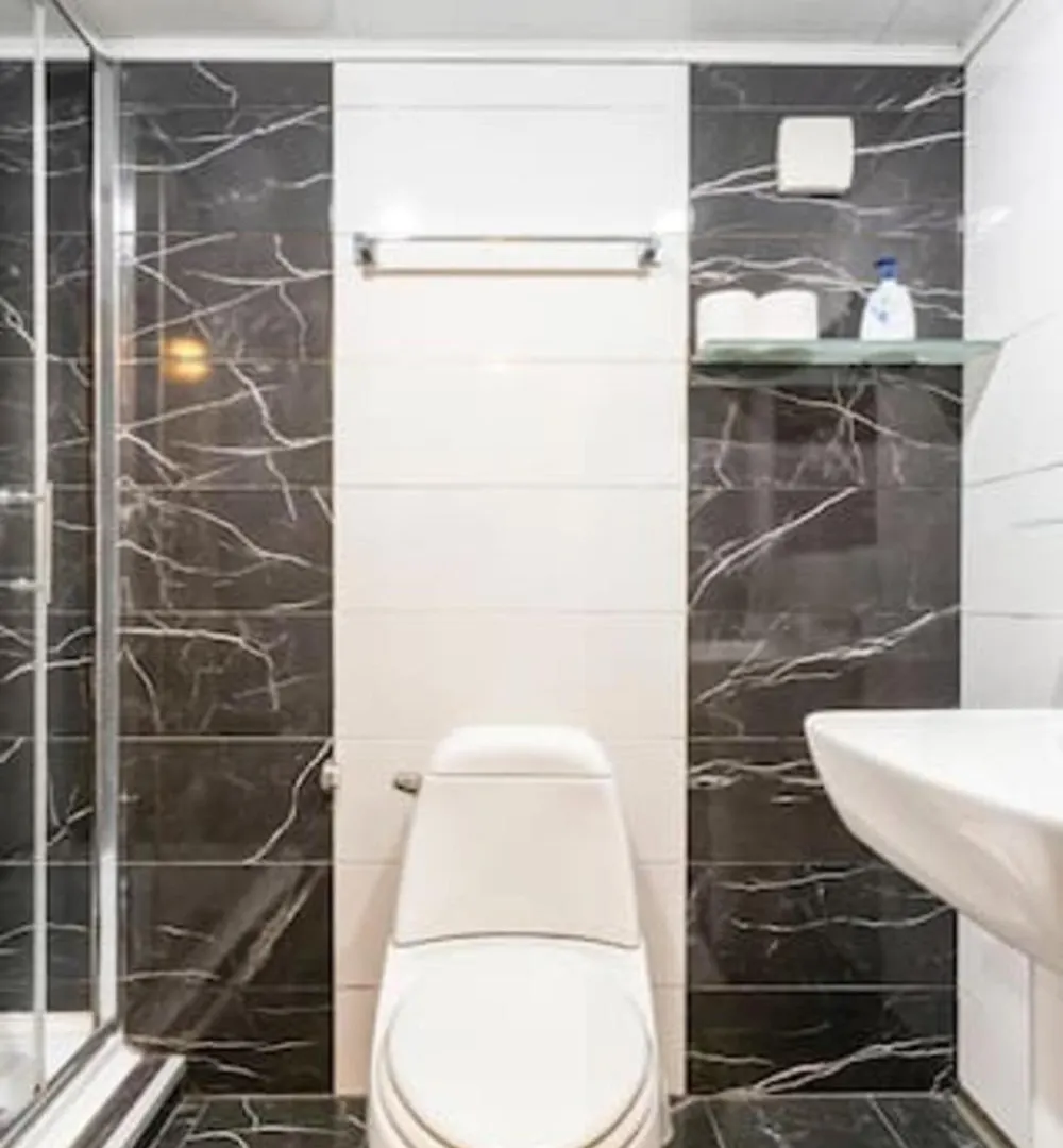 Rike Apartment Tbilisi 0*,